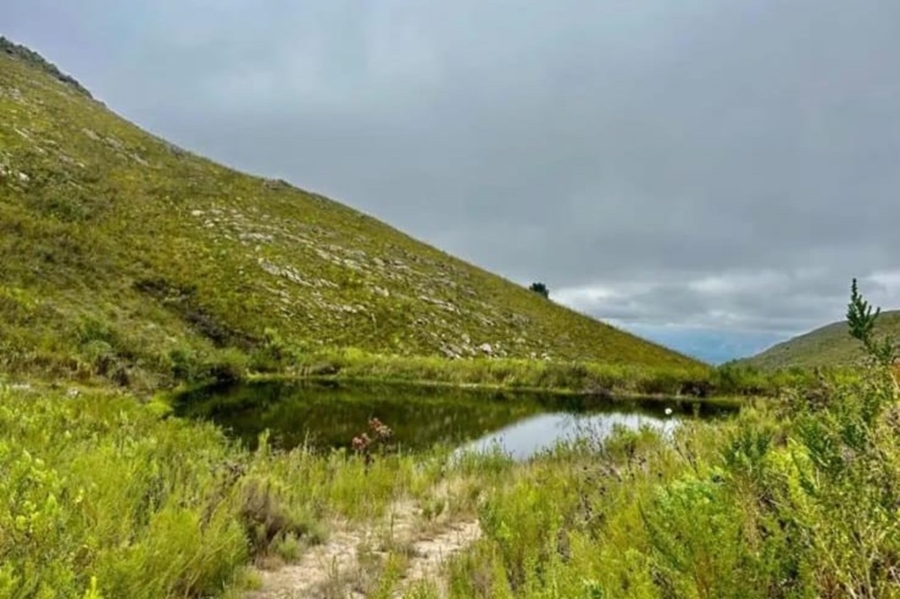 0 Bedroom Property for Sale in Uniondale Rural Western Cape